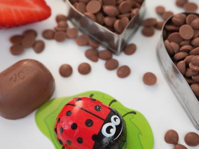 Шоколадная фабрика «Viva Choco»