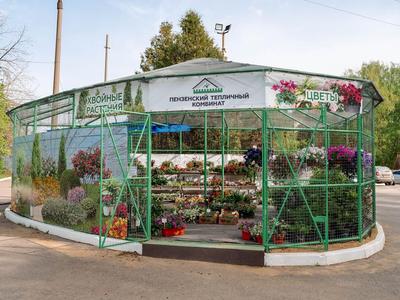 АО «Пензенский тепличный комбинат»