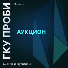 Объявлены аукционы